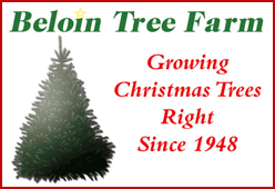 beloin treefarm