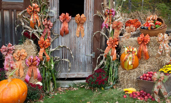 Assorted Fancy Classic Autumn Bows